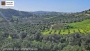 Kouses Kreta, Kouses: Baugrundstück 3.600 m² mit Baugenehmigung Grundstück kaufen
